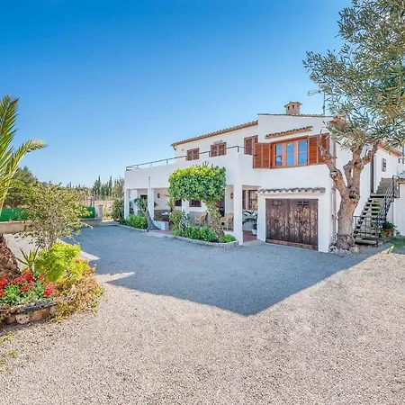 Palmeras Villa *