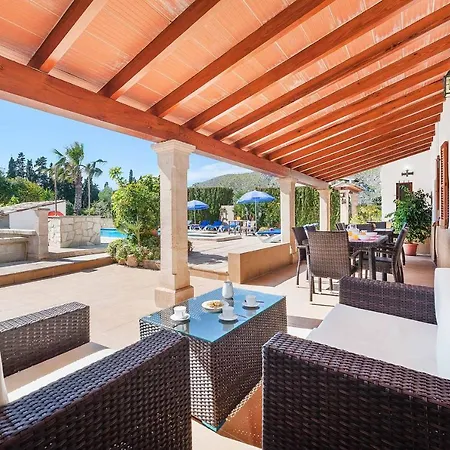 Palmeras Villa Pollenca